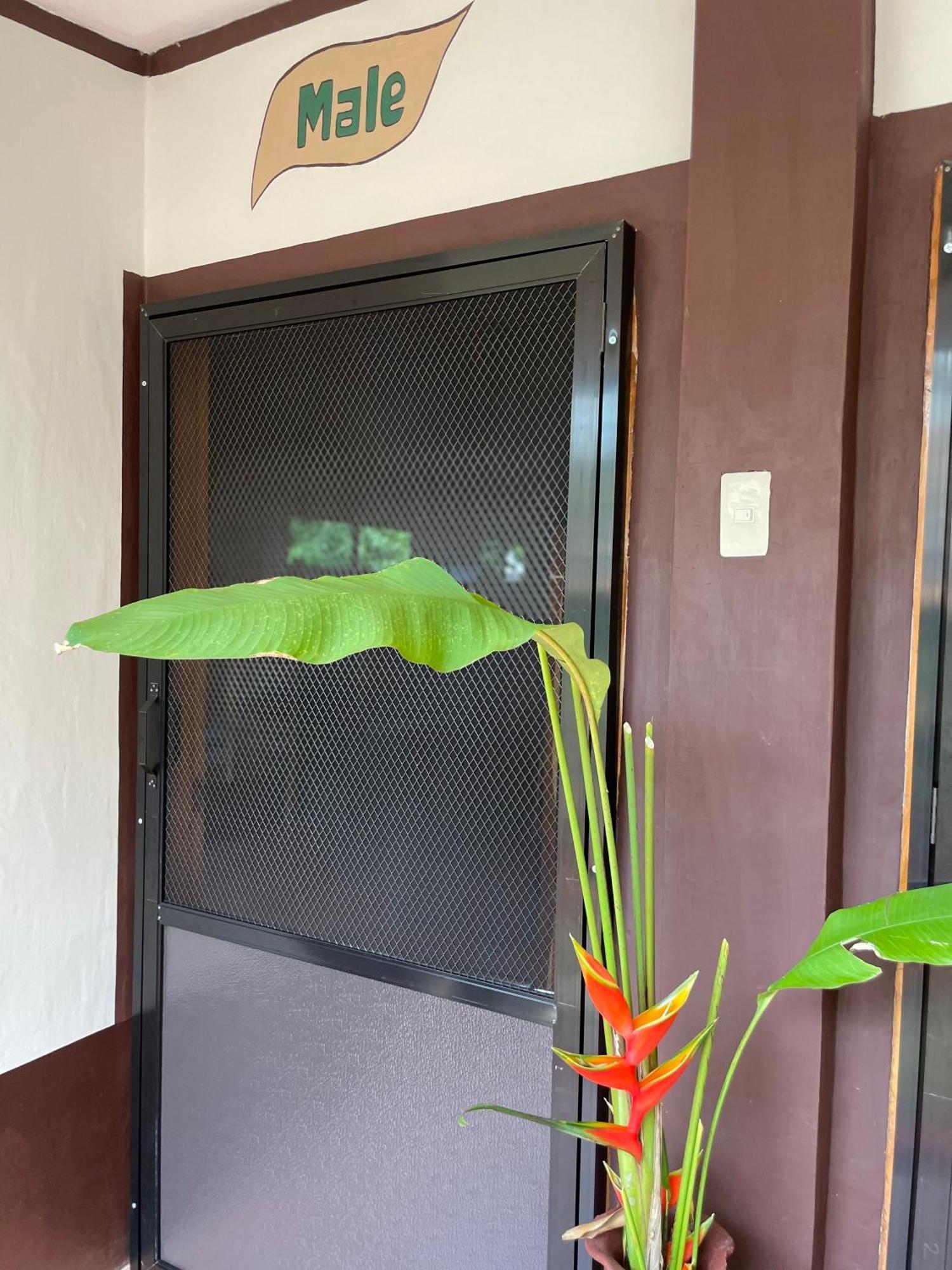 Chelle'S Guesthouse And Backpackers Siquijor Bagian luar foto