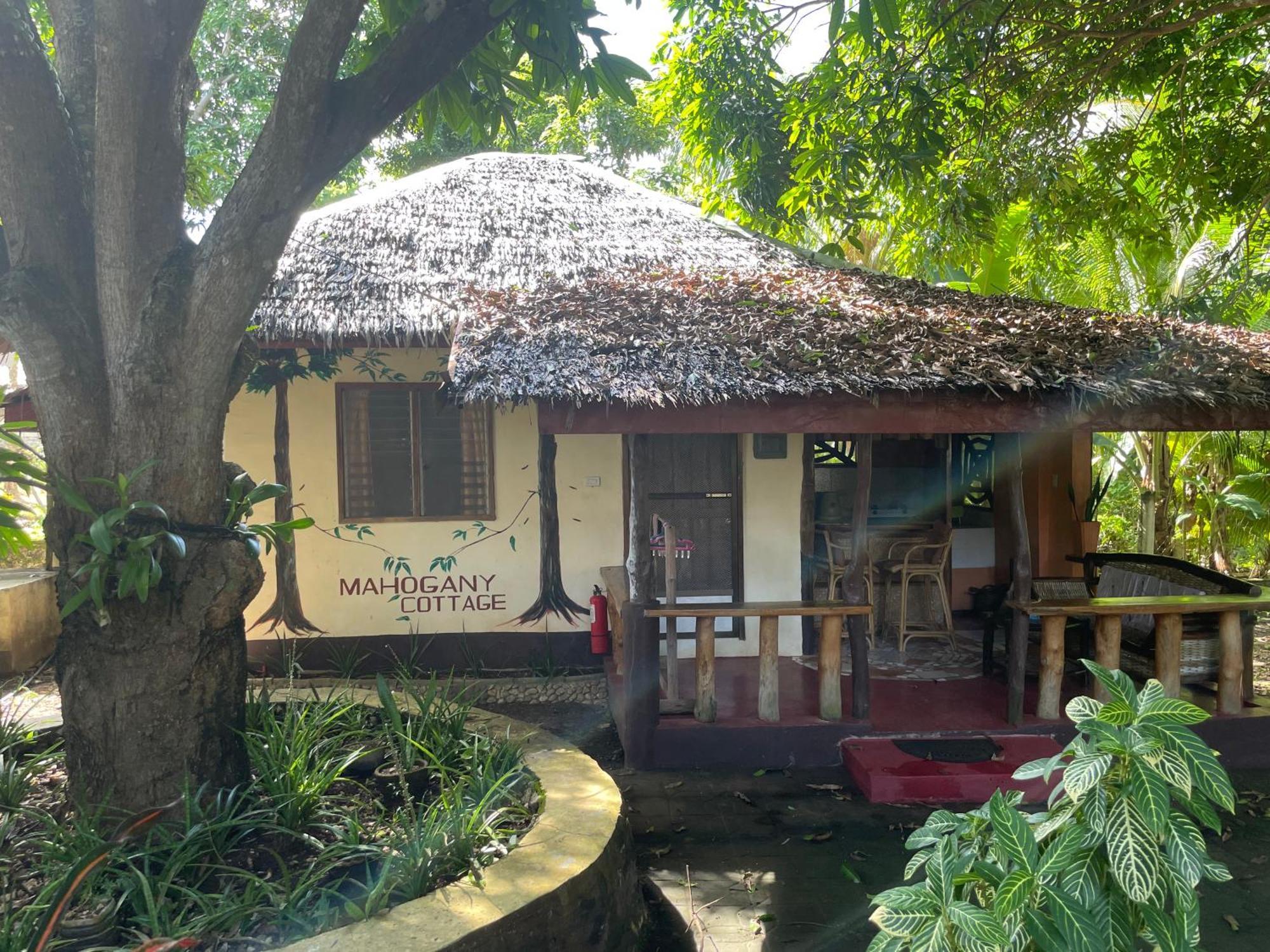 Chelle'S Guesthouse And Backpackers Siquijor Bagian luar foto